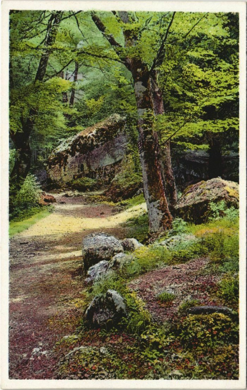 Carte postale ancienne Saint-Maximin-la-Sainte-Baume Road Scene à Saint-Maximin-la-Sainte-Baume