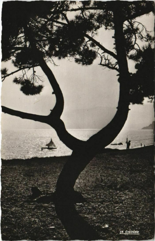 Carte postale ancienne La Croix-Valmer Coucher de Soleil à La Croix-Valmer