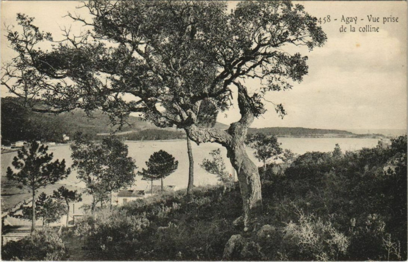 Carte postale ancienne Agay Vue prise de la Colline