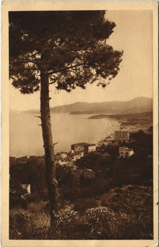 Carte postale ancienne Le Lavandou Le Cap Benat au Lavandou
