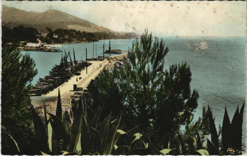 Carte postale ancienne Carqueiranne Panorama sur le Port à Carqueiranne