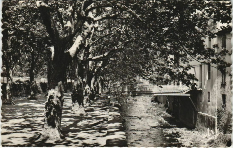 Carte postale ancienne Collobrieres Boulevard General Koening à Collobrières