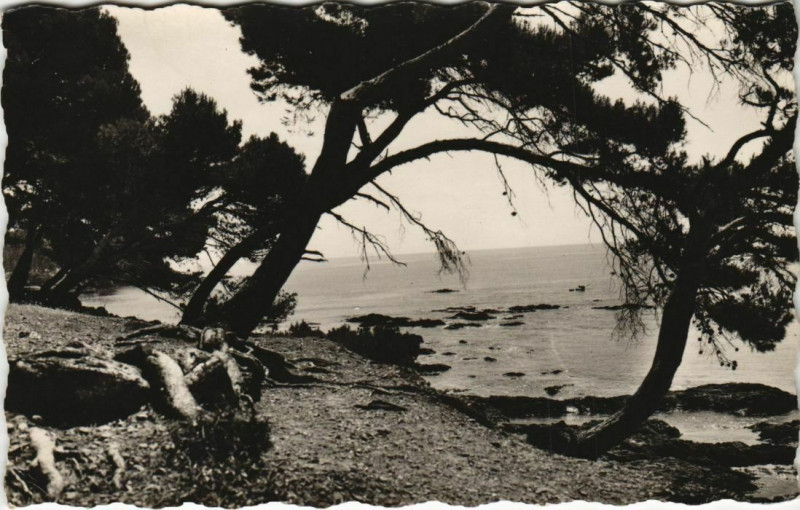 Carte postale ancienne Sainte-Maxime-sur-Mer Enviros - La Cote aux Issambres à Sainte-Maxime