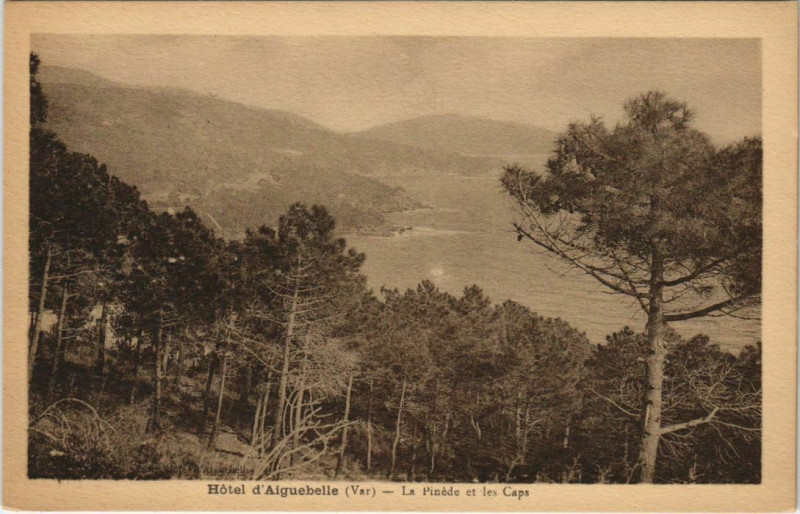 Carte postale ancienne Le Lavandou Hotel d'Aiguebelle - La Pinede et les Caps au Lavandou