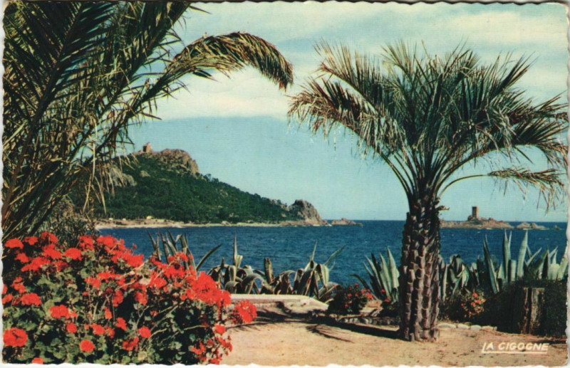 Carte postale ancienne Var - Vegetation Exotique - Reflets de la Cote d'Azur