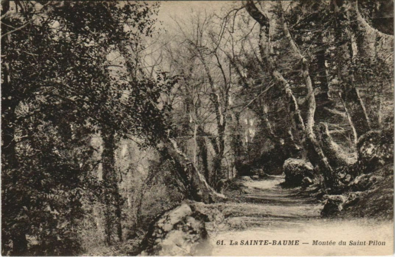 Carte postale ancienne Saint-Maximin-la-Sainte-Baume Montee du Saint-Pilon à Saint-Maximin-la-Sainte-Baume
