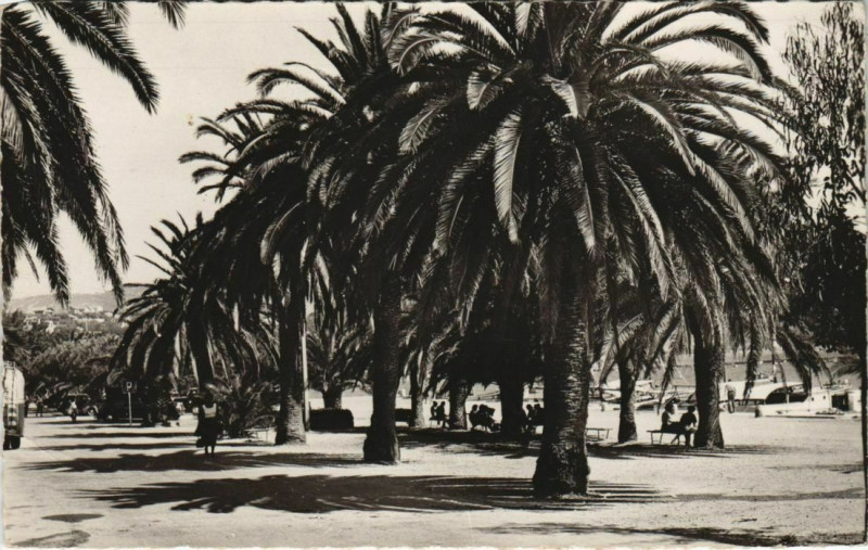 Carte postale ancienne Bandol La Promenade du Quai du Port France à Bandol