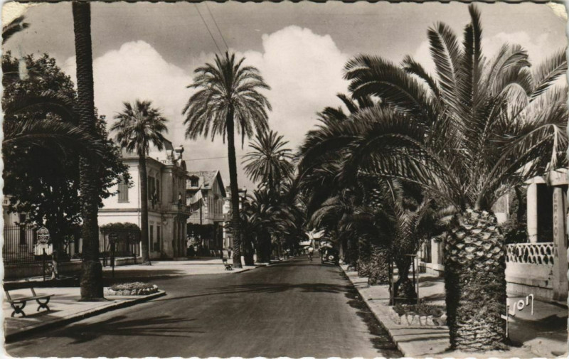 Carte postale ancienne Hyeres Avenue de Belgique France à Hyères