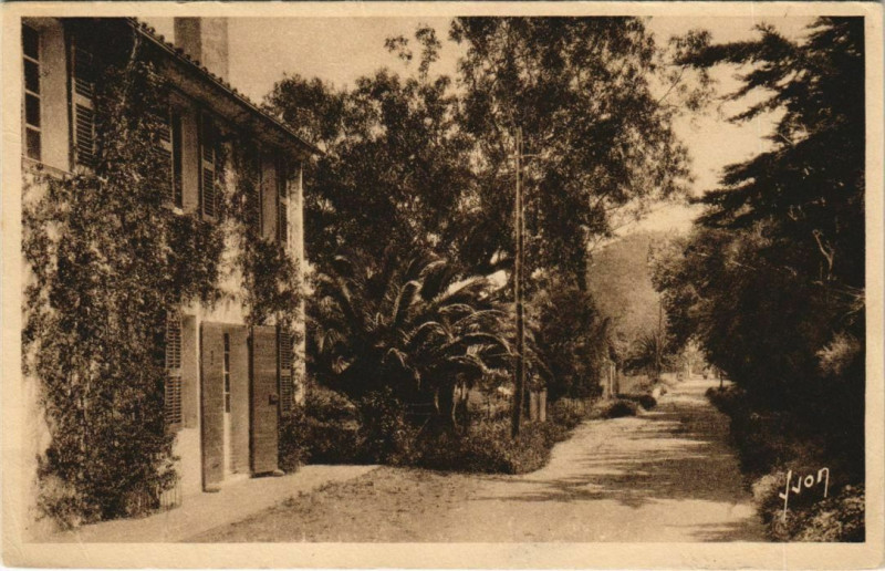 Carte postale ancienne Hyeres Porquerolles ,Route a la plage d'Argent France à Hyères