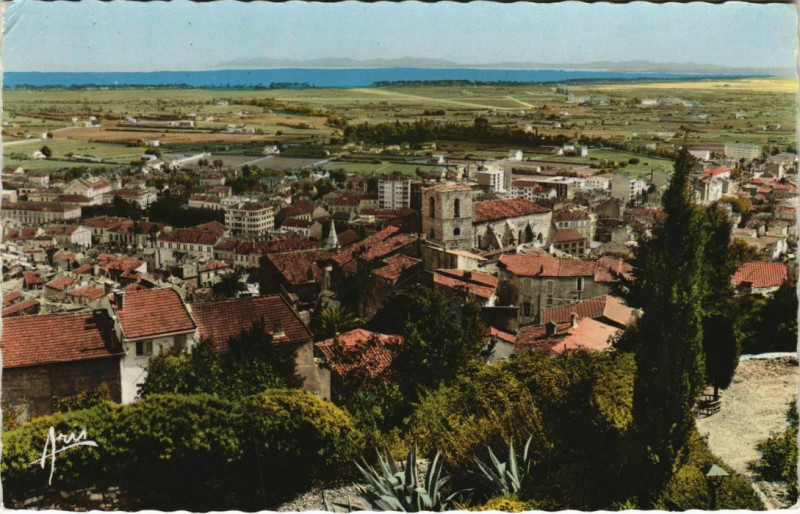 Carte postale ancienne Hyeres vue generale France à Hyères