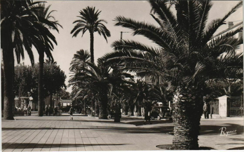 Carte postale ancienne Hyeres Avenue de Belgique France à Hyères