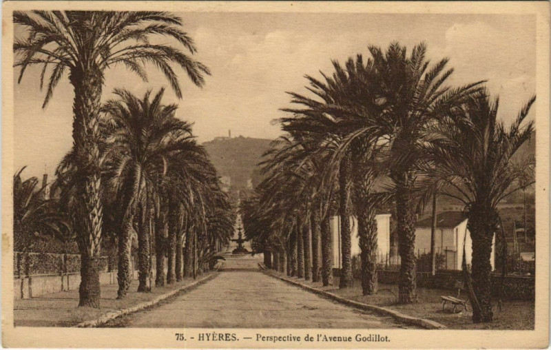 Carte postale ancienne Hyeres Perspective de l'Avenue Godillot France à Hyères