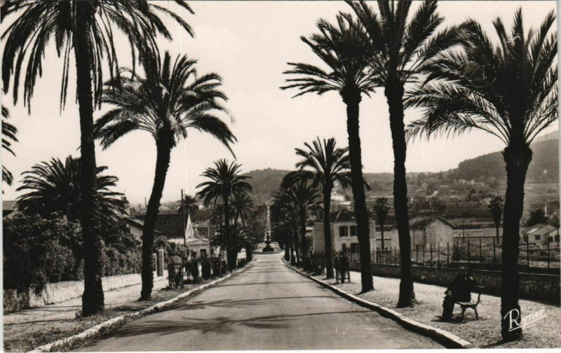 Carte postale ancienne Hyeres Avenue Godillot France à Hyères