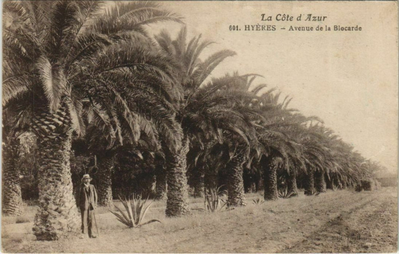 Carte postale ancienne Hyeres Avenue de la Blocarde France à Hyères