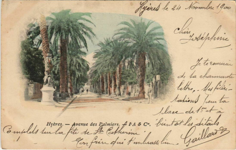 Carte postale ancienne Hyeres Avenue des Palmiers France à Hyères