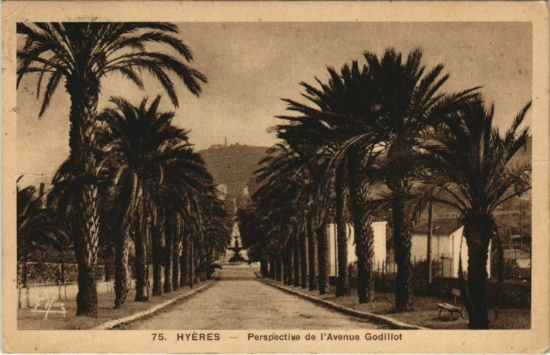 Carte postale ancienne Hyeres Perspective de l'Avenue Godillot France à Hyères