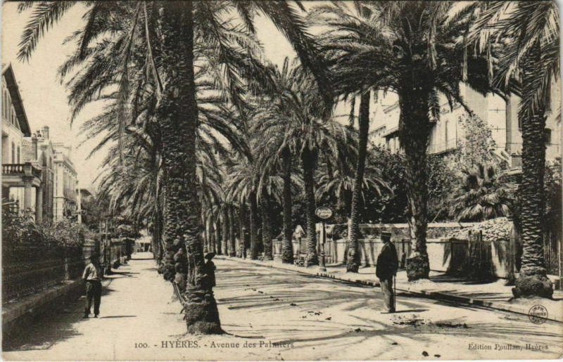 Carte postale ancienne Hyeres Avenue des Palmiers France à Hyères