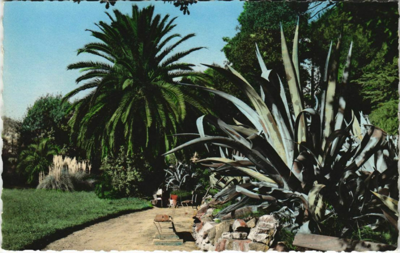 Carte postale ancienne Hyeres Jardin Olbius Riquier France à Hyères