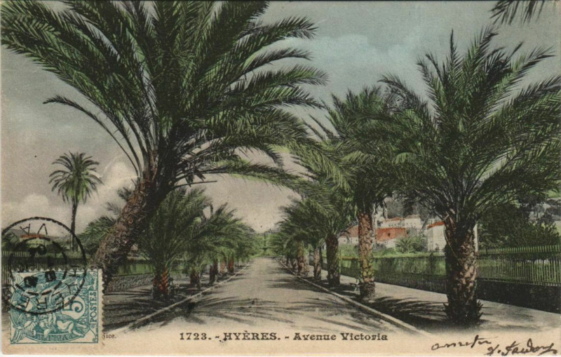 Carte postale ancienne Hyeres Avenue Victoria France à Hyères