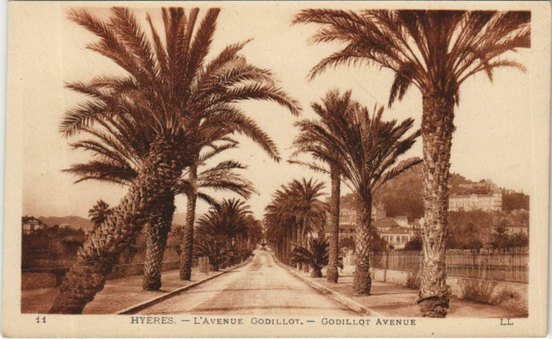 Carte postale ancienne Hyeres Avenue Godillot France à Hyères