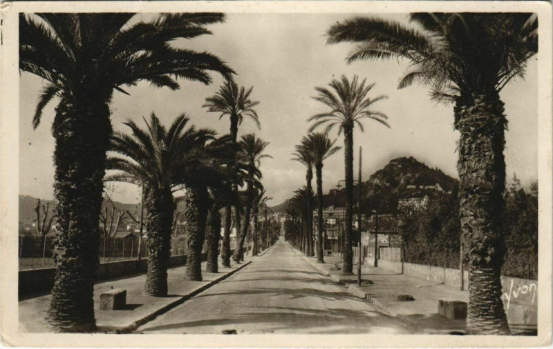 Carte postale ancienne Hyeres Avenue Godillot France à Hyères