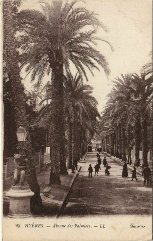 Carte postale ancienne Hyeres Avenue des Palmiers France à Hyères
