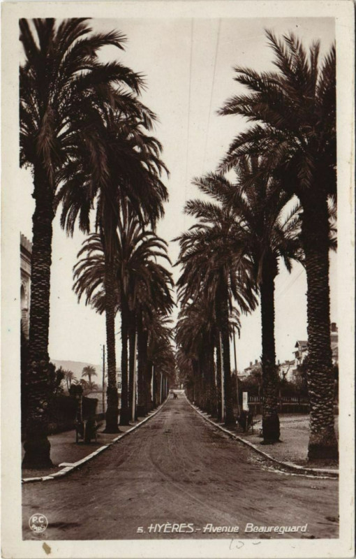 Carte postale ancienne Hyeres Avenue Beauregard France à Hyères