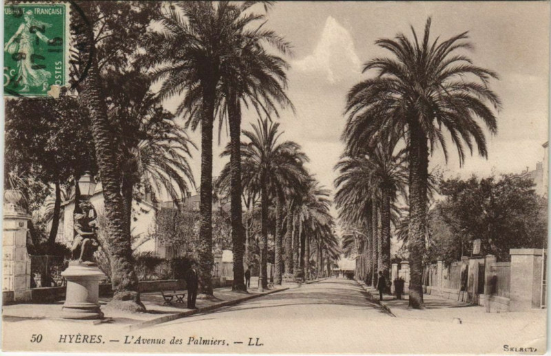 Carte postale ancienne Hyeres Avenue des Palmiers France à Hyères