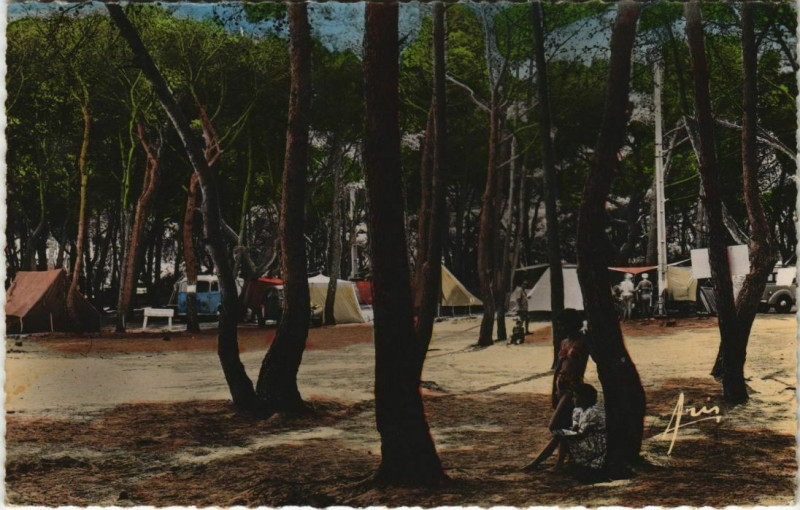 Carte postale ancienne Hyeres La Capte ,Campig sous bois France à Hyères