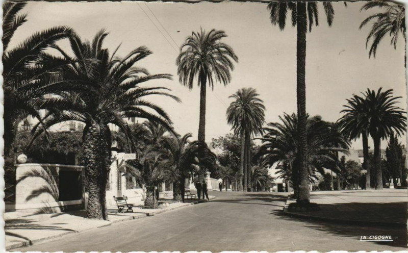 Carte postale ancienne Hyeres Avenue de Belgique France à Hyères