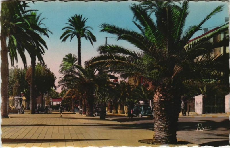 Carte postale ancienne Hyeres Avenue de Belgique France à Hyères