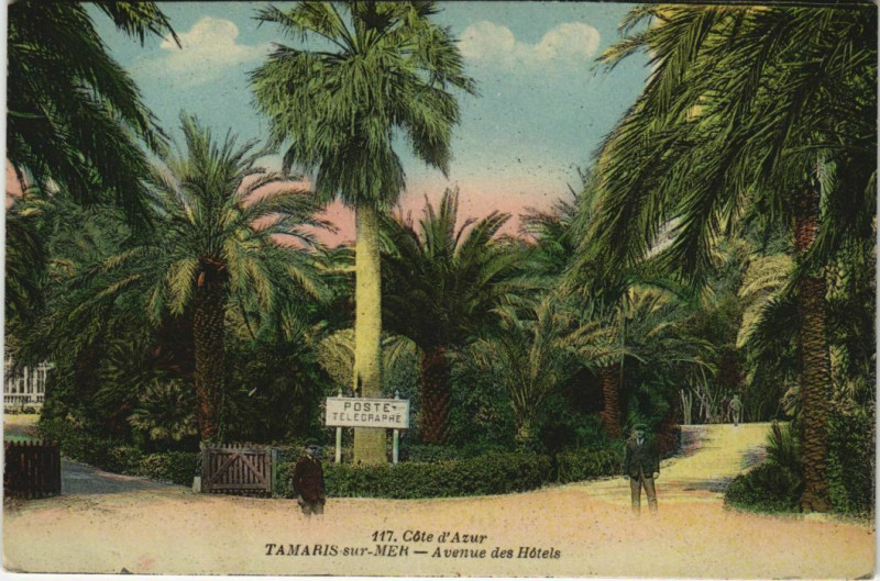 Carte postale ancienne Tamaris Avenue des Hotels France