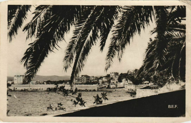 Carte postale ancienne Le Lavandou vue a travers les Palmiers France au Lavandou