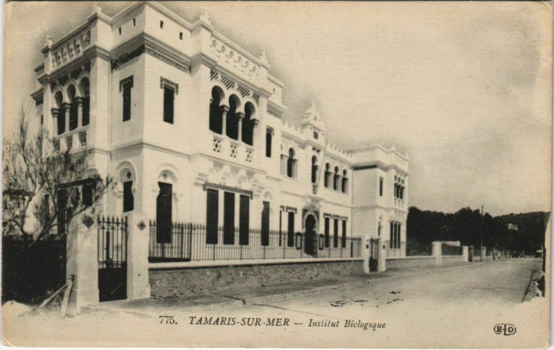 Carte postale ancienne Tamaris Institut Biologique France