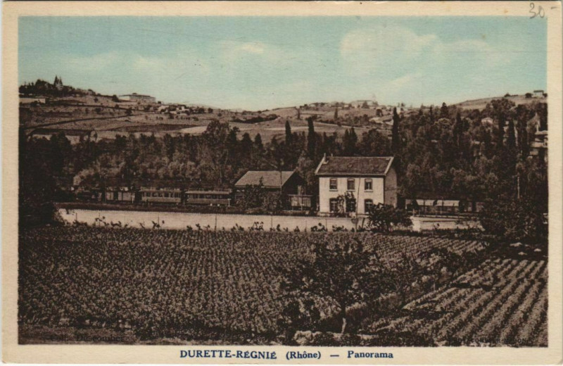 Carte postale ancienne Durette-Regnié Panorama