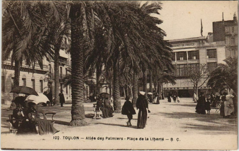 Carte postale ancienne Toulon Place de la Liberte ,Allee des Palmiers France à Toulon