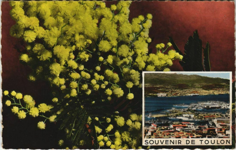 Carte postale ancienne Toulon souvenir France à Toulon
