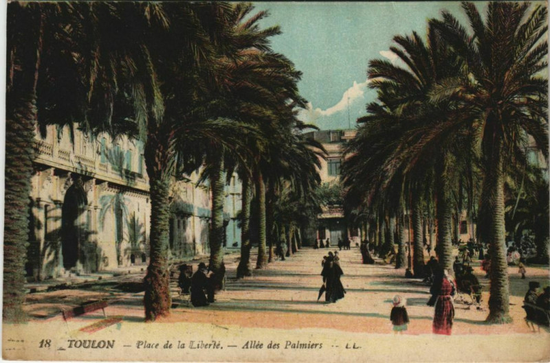 Carte postale ancienne Toulon Place de la Liberte ,Allee des Palmiers France à Toulon