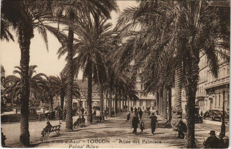 Carte postale ancienne Toulon Allee des Palmiers France à Toulon