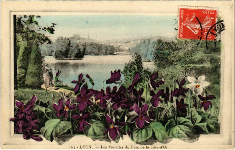 Carte postale ancienne Lyon- Les Violettes du Parc de la Tete d'Or France à Lyon