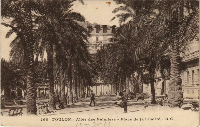 Carte postale ancienne Toulon Allee de Palmiers ,Place de la Liberte France à Toulon