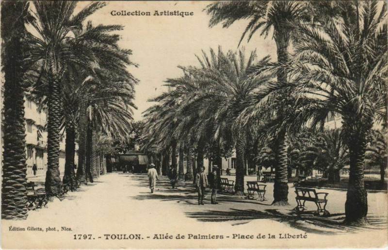 Carte postale ancienne Toulon Allee de Palmiers ,Place de la Liberte France à Toulon