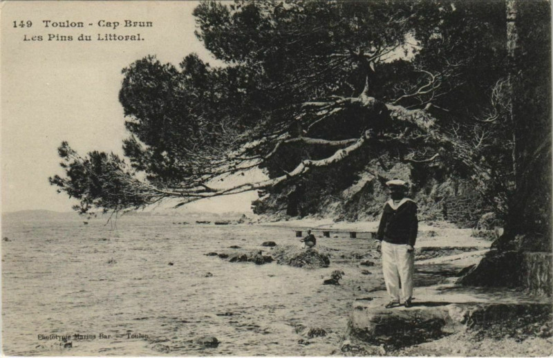 Carte postale ancienne Toulon Cap Brun ,Les Pins du Littoral France à Toulon