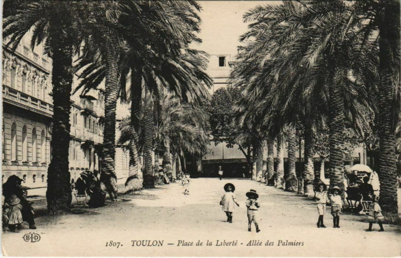 Carte postale ancienne Toulon Place de la Liberte ,Allee des Palmiers France à Toulon