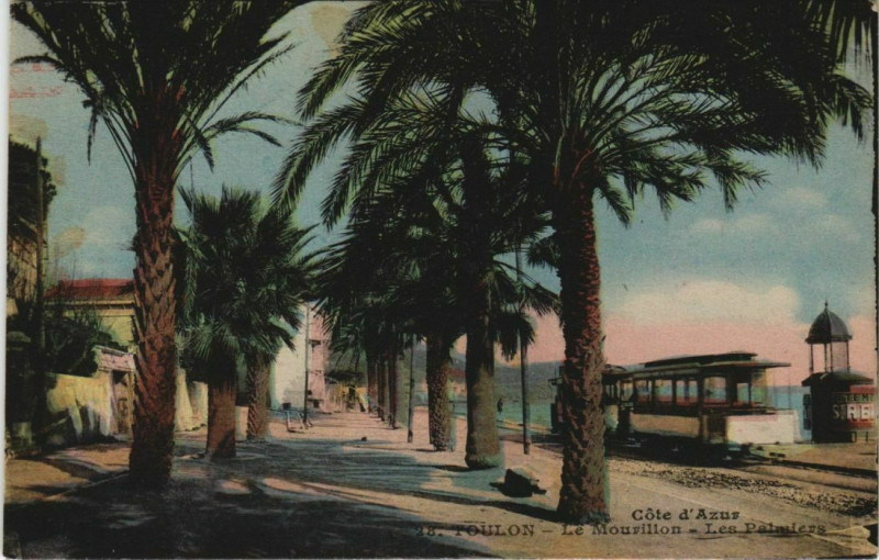 Carte postale ancienne Toulon Le Mourillon ,Les Palmiers France à Toulon