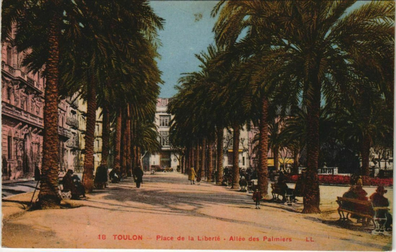 Carte postale ancienne Toulon Place de la Liberte ,Allee des Palmiers France à Toulon