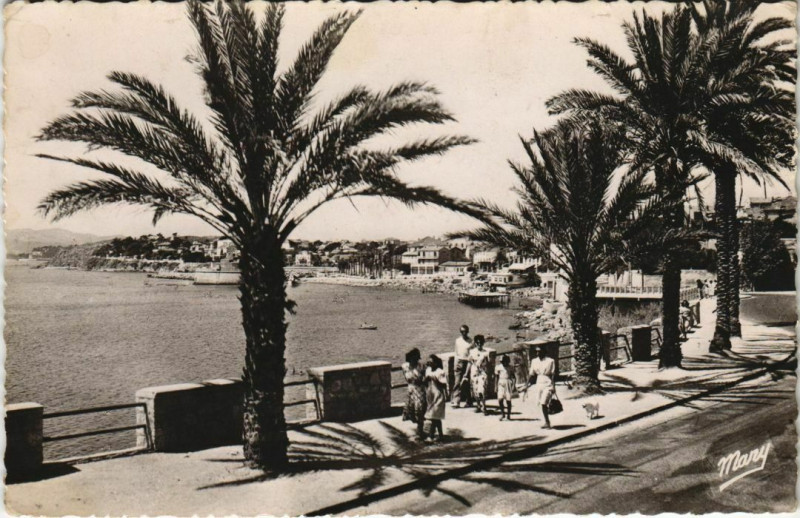 Carte postale ancienne Toulon Boulevard Frederic Mistral France à Toulon