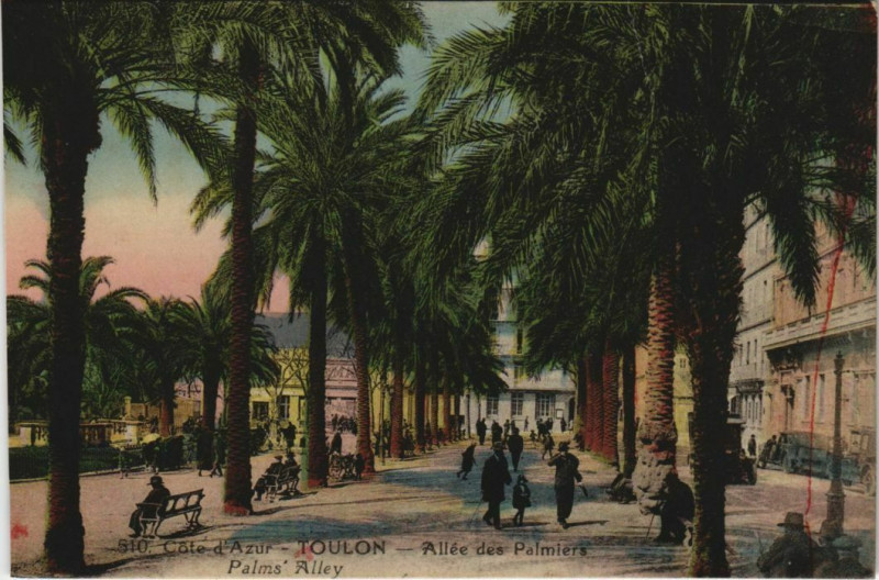 Carte postale ancienne Toulon Allee de Palmiers France à Toulon