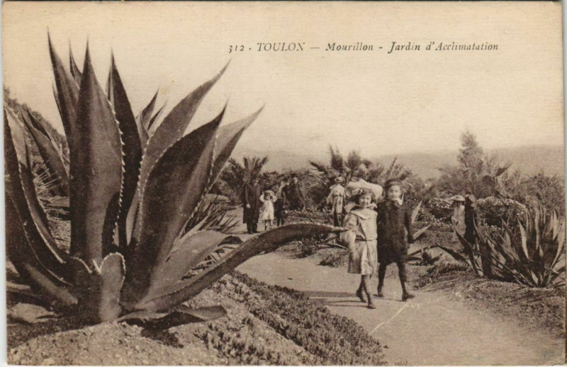 Carte postale ancienne Toulon Mourillon ,Jardin d'Acclimatation France à Toulon