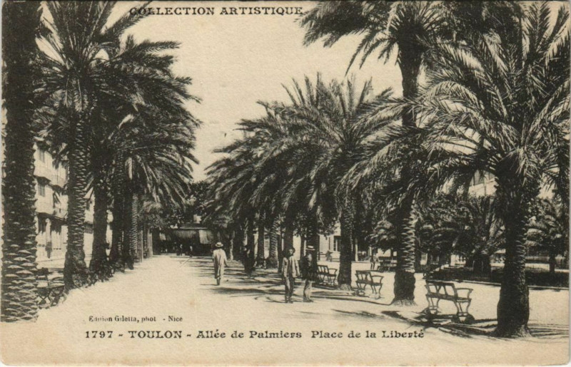 Carte postale ancienne Toulon Allee de Palmiers ,Place de la Liberte France à Toulon